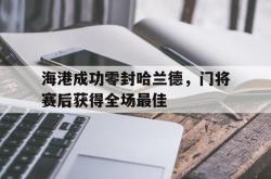 海港成功零封哈兰德，门将赛后获得全场最佳海港成功零封哈兰德,门将赛后获得全场最佳进球