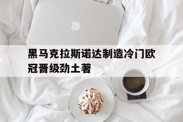 黑马克拉斯诺达制造冷门欧冠晋级劲土著的简单介绍